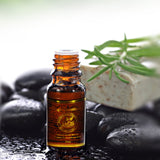 30ml Hot Sale Pure Plant Essential Oil Ginger