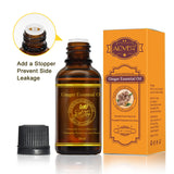 30ml Hot Sale Pure Plant Essential Oil Ginger