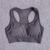 Women Seamless Long Sleeve Crop Top Shirts