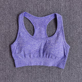Women Seamless Long Sleeve Crop Top Shirts