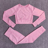 Women Seamless Long Sleeve Crop Top Shirts