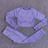 Women Seamless Long Sleeve Crop Top Shirts
