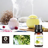 10ML Pure Essential Oil Massage Humidifier Tea Tree
