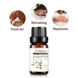 10ML Pure Essential Oil Massage Humidifier Tea Tree