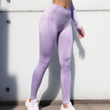 Seamless Women Yoga Top And Athletic Legging